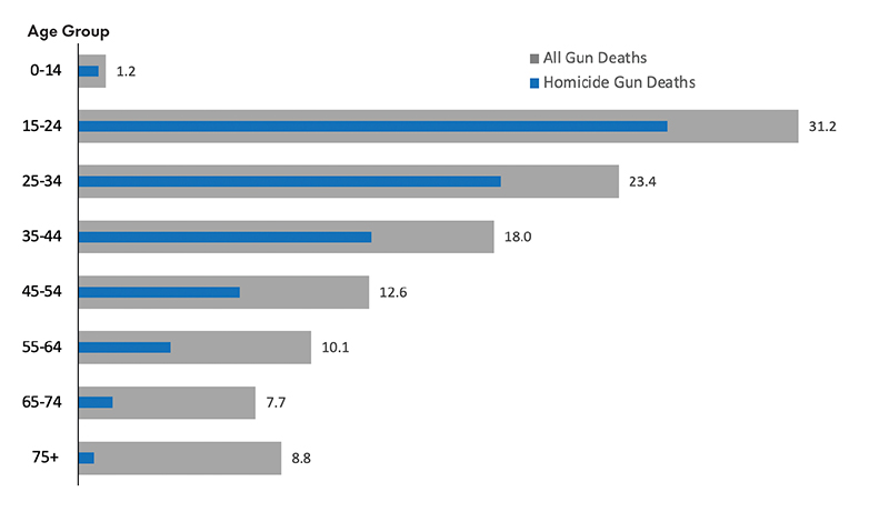 Gun death rate, by age, with insert bar representing homicides. Data are averaged across BCHC cities, 2020. 